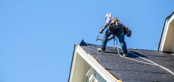 Best Storm Damage Roof Repair  in Dunedin, FL